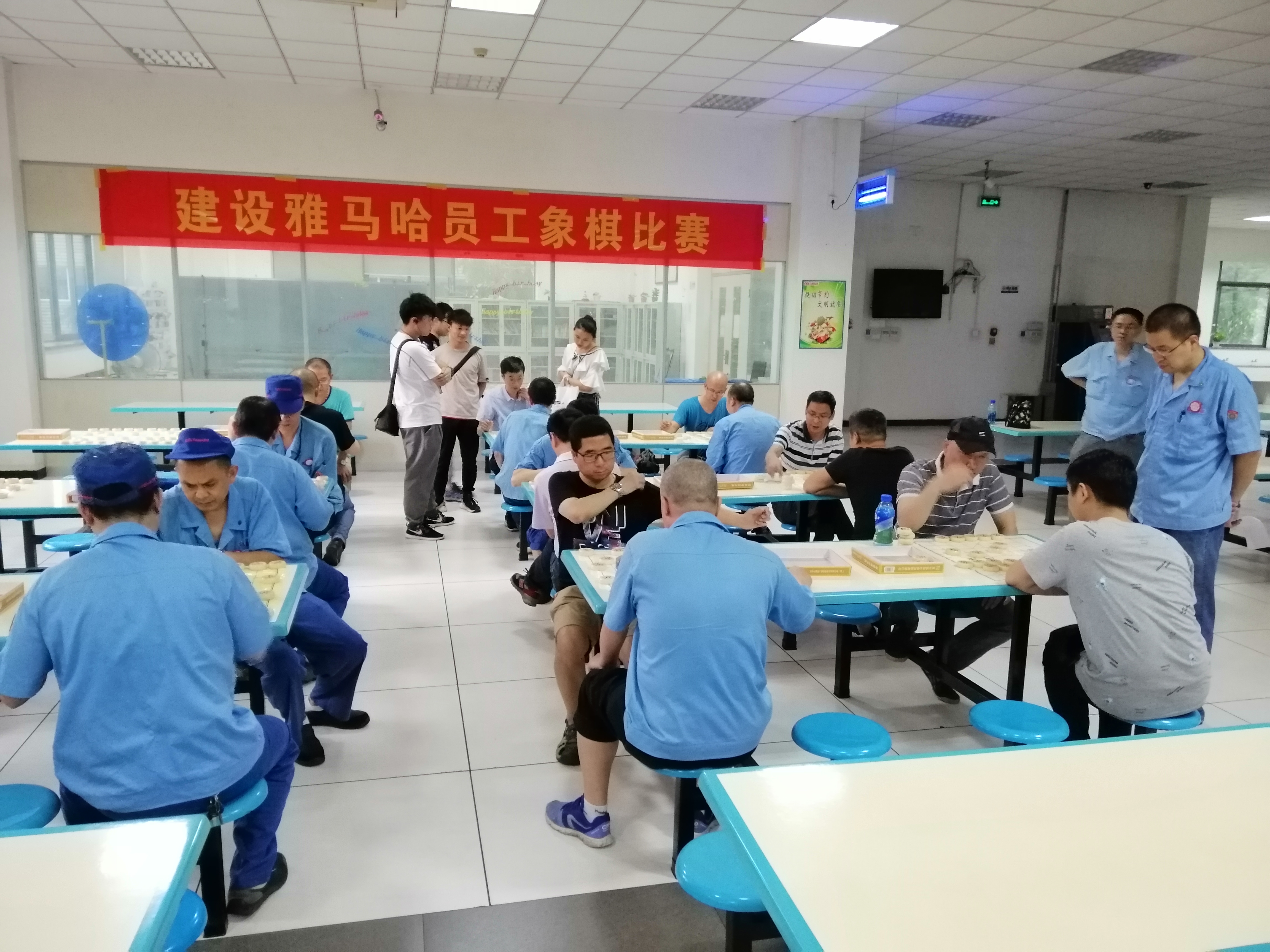 新人观战